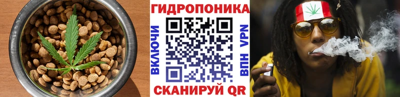 как найти закладки  Катайск  Печенье с ТГК марихуана 