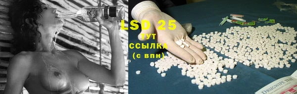 стафф Пересвет