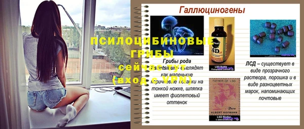 PSILOCYBIN Алексин