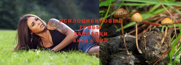винт Абдулино