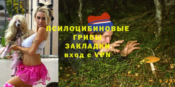 крисы Алексеевка