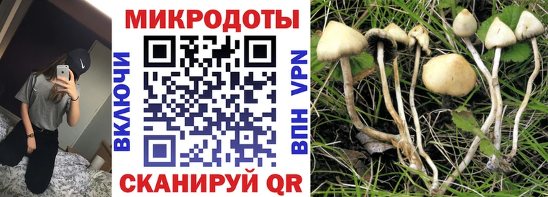 Псилоцибиновые грибы прущие грибы  Катайск 