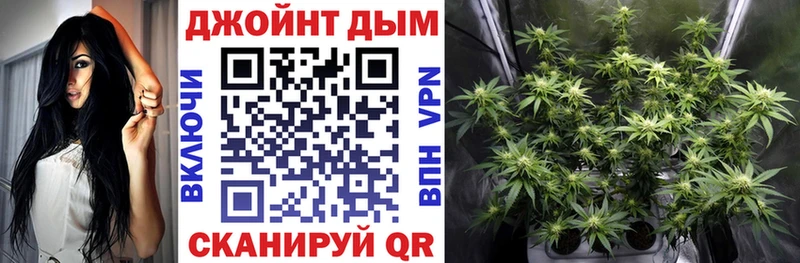 Канабис OG Kush  Катайск 